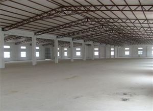 廠家東莞 舒適性鋼結構廠房